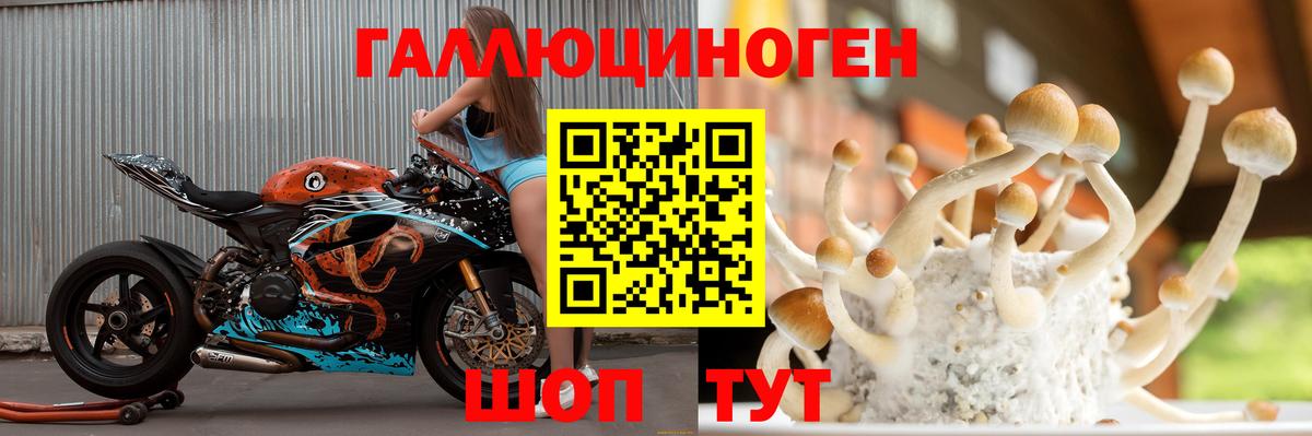 как найти закладки  Галлюциногенные грибы Psilocybine cubensis  Вход с VPN  Псилоцибиновые грибы Psilocybine cubensis  Хасавюрт 